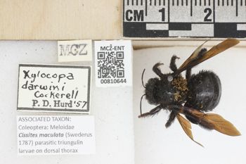Media type: image;   Entomology 810644 Aspect: labels